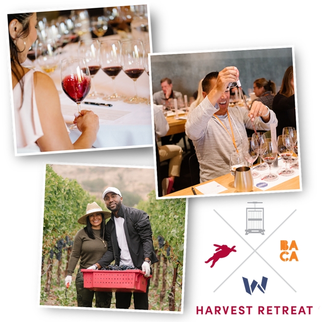 Images of wine club members participating in tasting, blending and grape picking activities at the HALL Harvest Member Retreat.  
